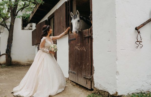 The wedding of Salma and Ali Gallery 4